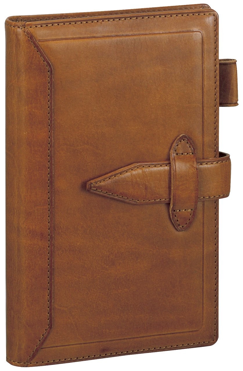 Reimei Fujii System Planner, Davinci Roromakura Schick Bible Design, Brown DB301
