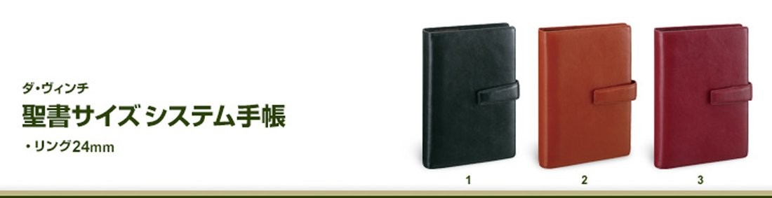 Raymay Fujii Davinci Standard System Planner, Bible Edition, Brown DB3005C