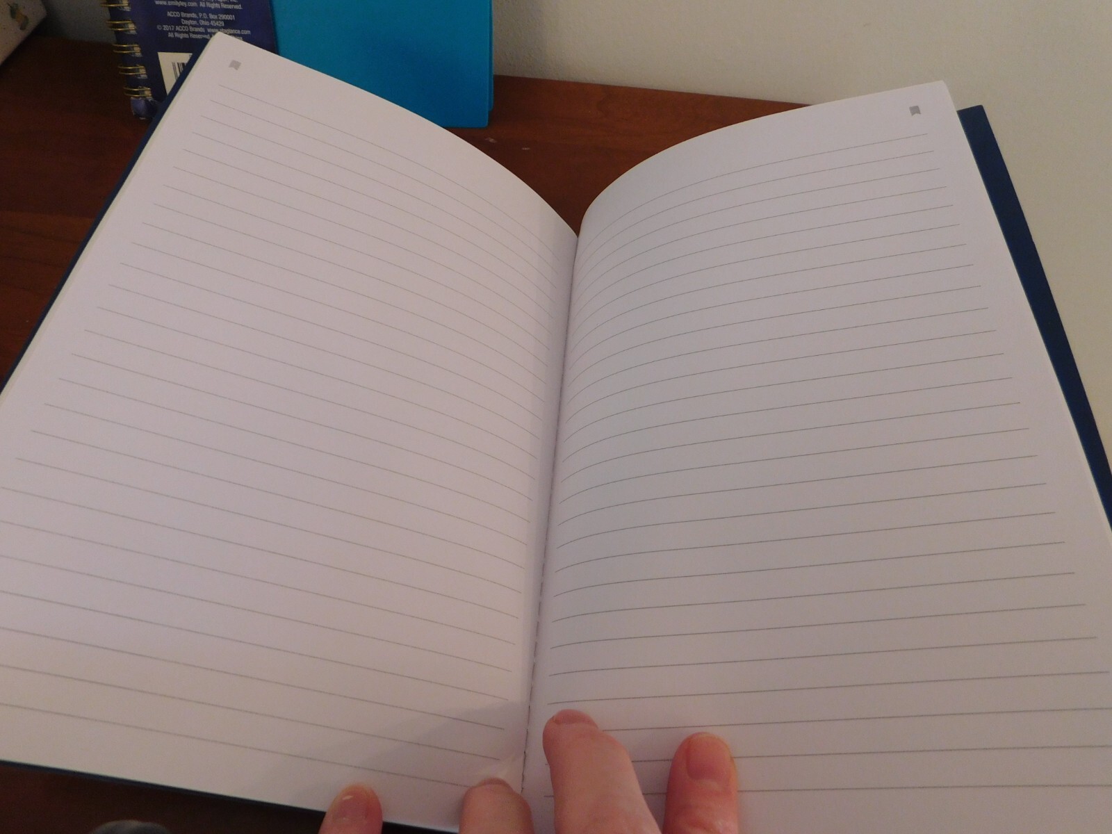 Simplified by Emily Ley Wellness Journal “This is My Year” + Notepad + Stickers