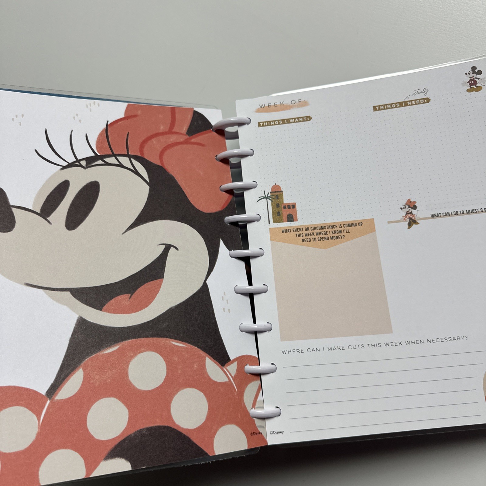 The Happy Planner Disney Plan To Save Budget Guided Journal Mickey Minnie NEW