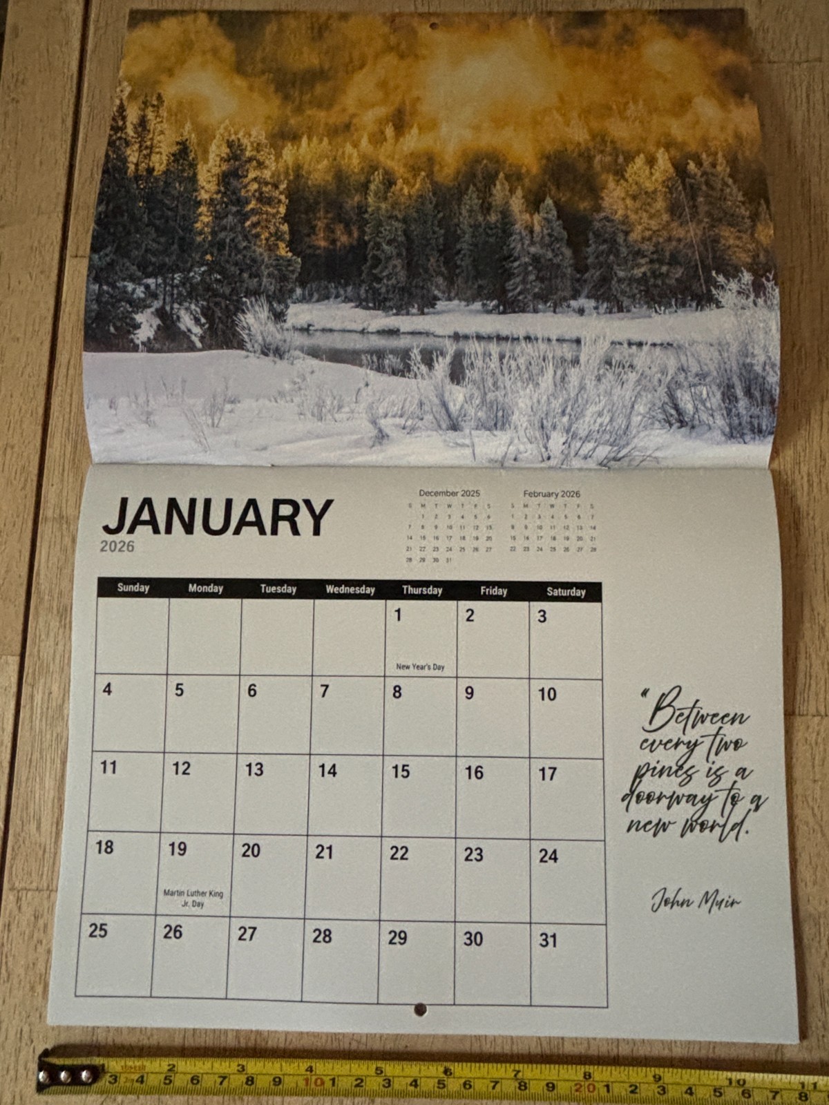Tree Chronicles – 2026- 12-Month Wall Calendar – Great Tree Photography!