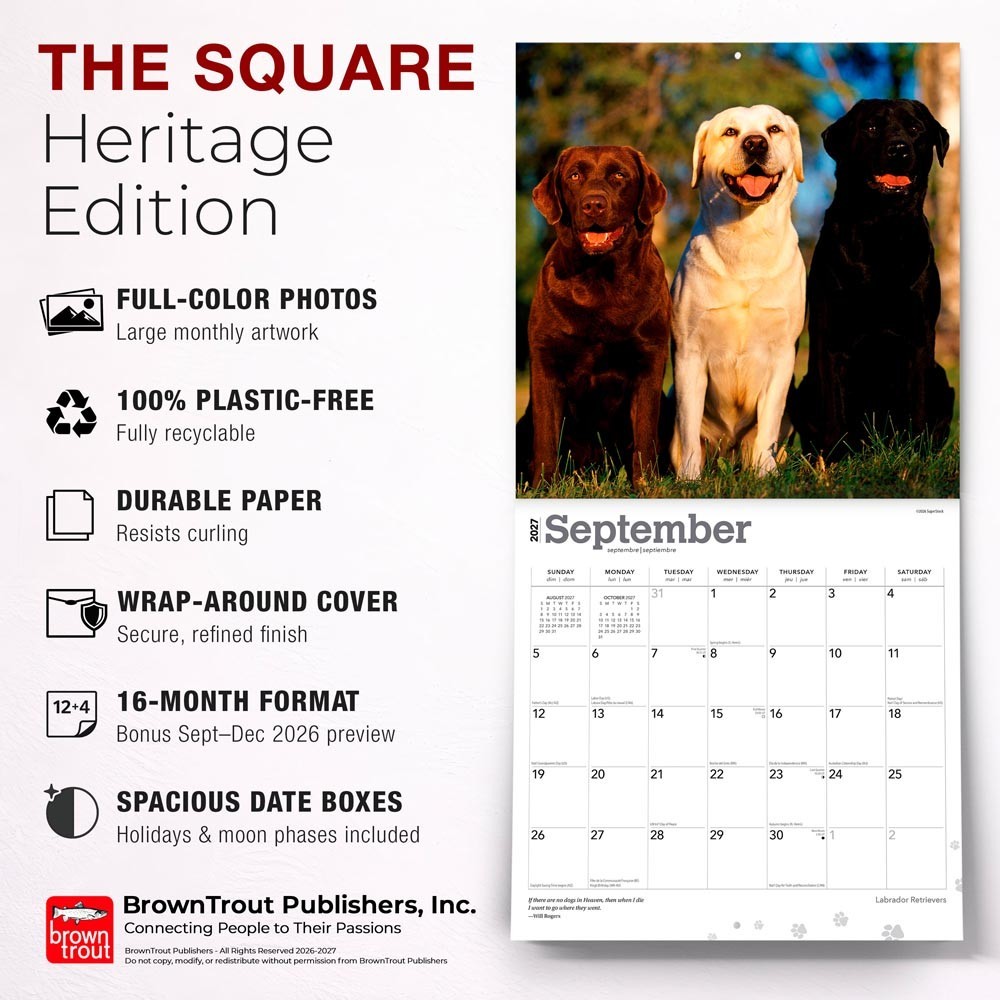 Labrador Retrievers | 2027 12×24″ (Hanging) Square Wall Calendar | Plastic-Free