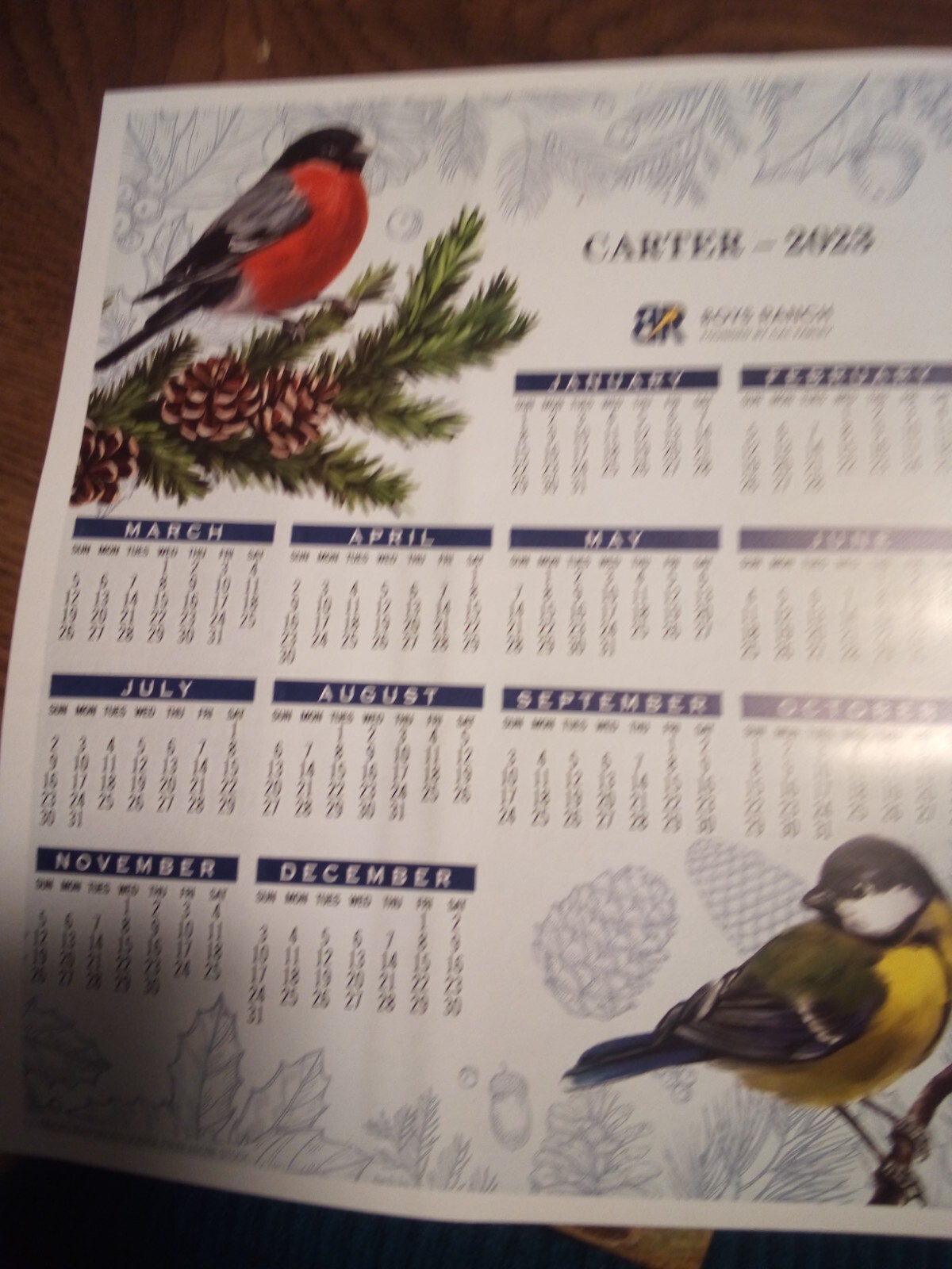 (NEW) 2023 BOYS RANCH 12 Month WALL Calendar Card BIRD THEME 8.5″ x 7″ Free SHIP
