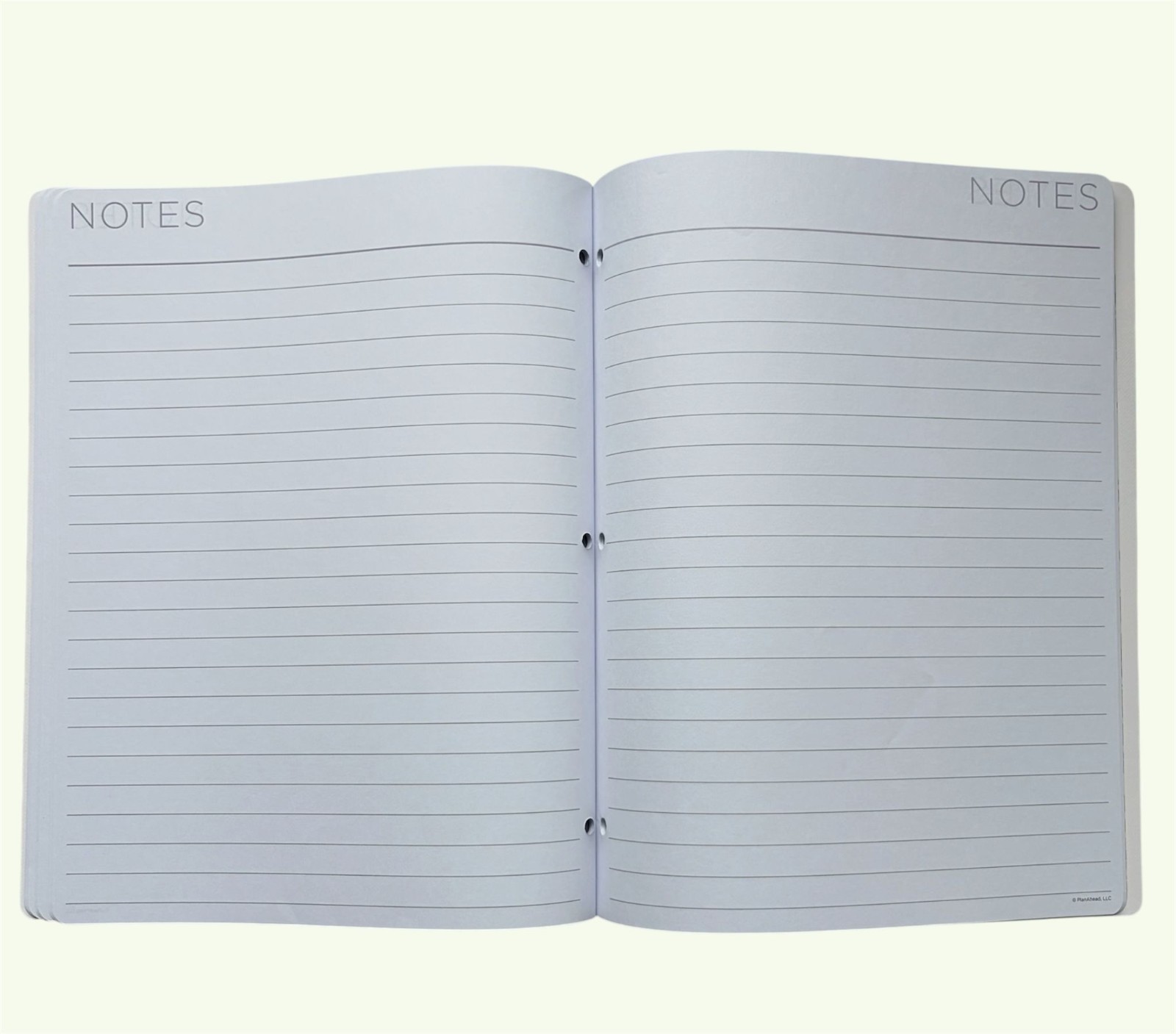 See It Bigger Plan-Ahead 2 Year Monthly Large Planner (Apr 2026 – Mar 2028)