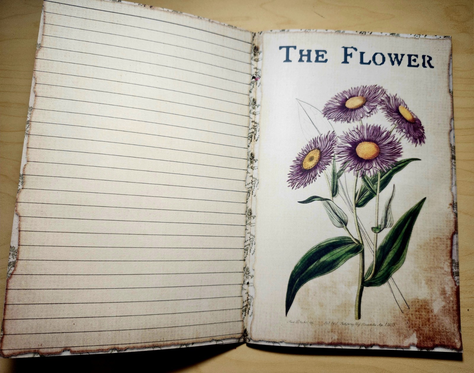 Junk Journal Booklet “BOTANY” Handmade Botanical Wildflowers Lg 8.5″x5.5″ 40pgs