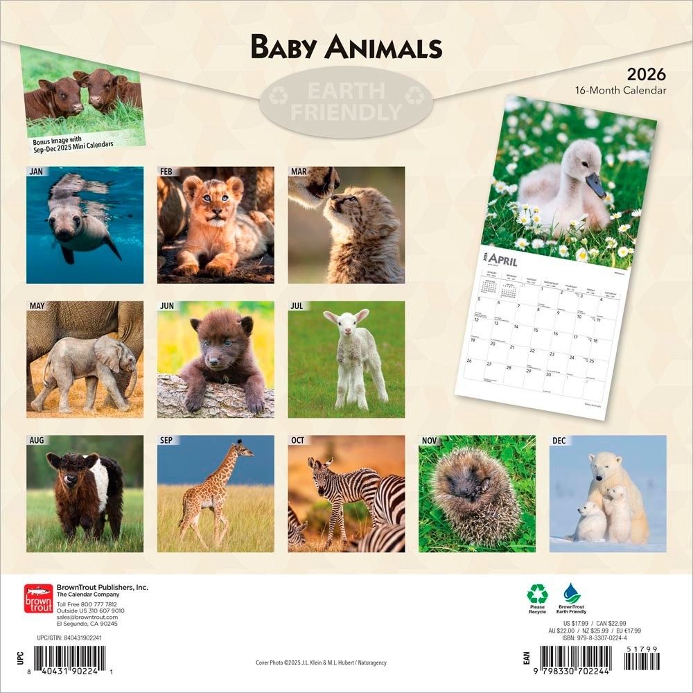 Baby Animals | 2026 12×24″ (Hanging) Square Wall Calendar | Plastic-Free