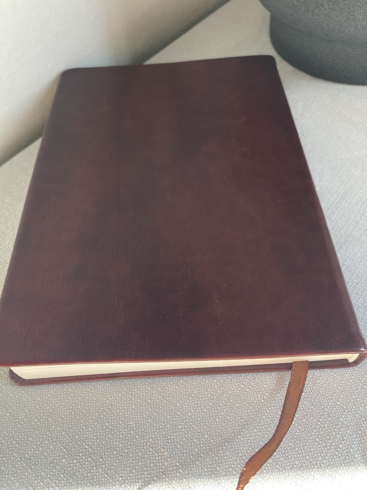Inspirational Notebook, Faux Leather Bound, 123 Pages, With Ribbon Bookmark
