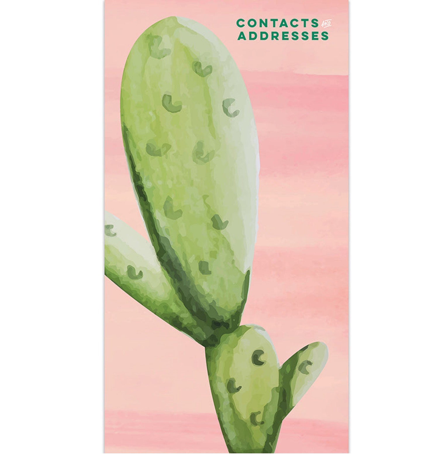 TF PUBLISHING – Cactus Address Book 60 Lined Pages – 3.5” x 6.5”