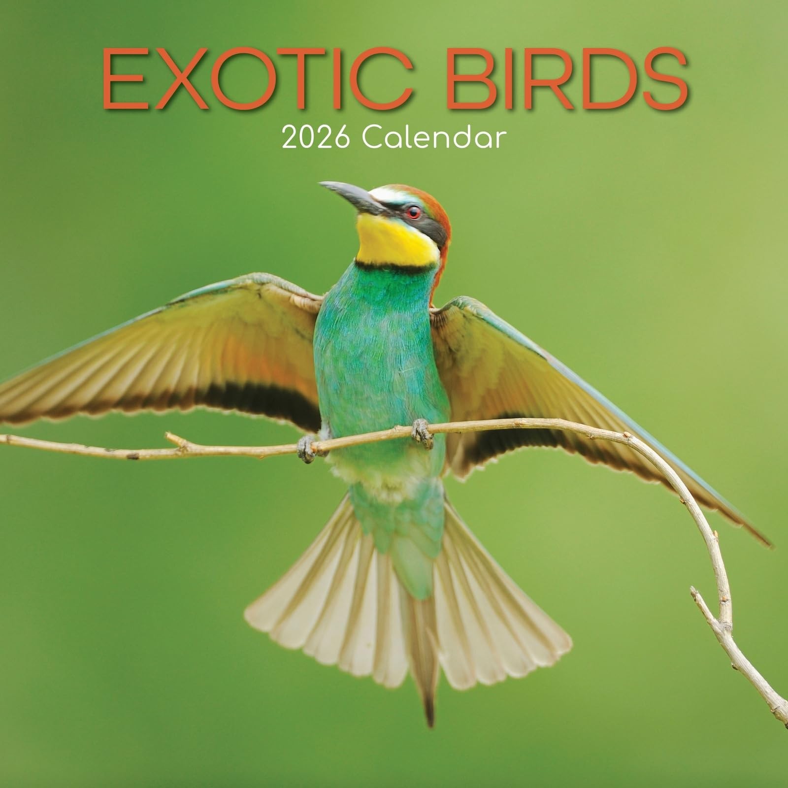 The Gifted Stationery 16-Month Square Wall Calendar – Exotic Bird Art & 2026…
