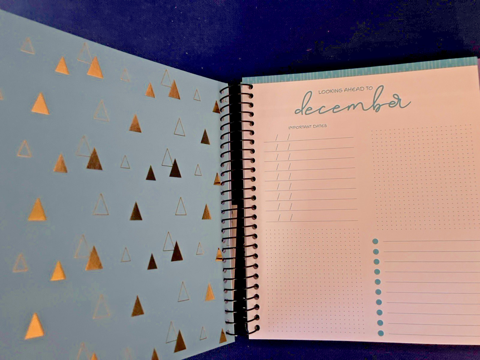 17 Month Planner SHINE BRIGHT Aug 2025 – Dec 2026 Weekly Planning Note Page Gift