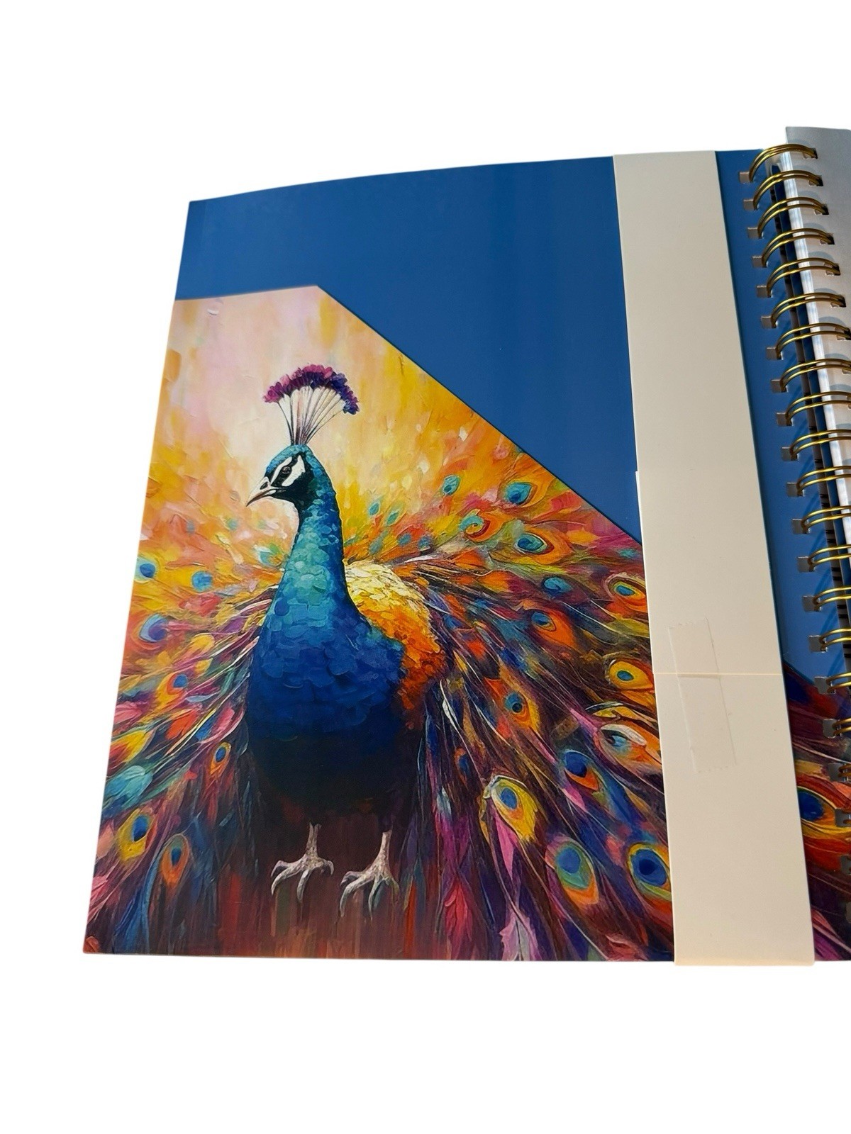 New Designer Papers Ultimate Planner 11 X 8.5 Peacock Colorful Tab Dividers