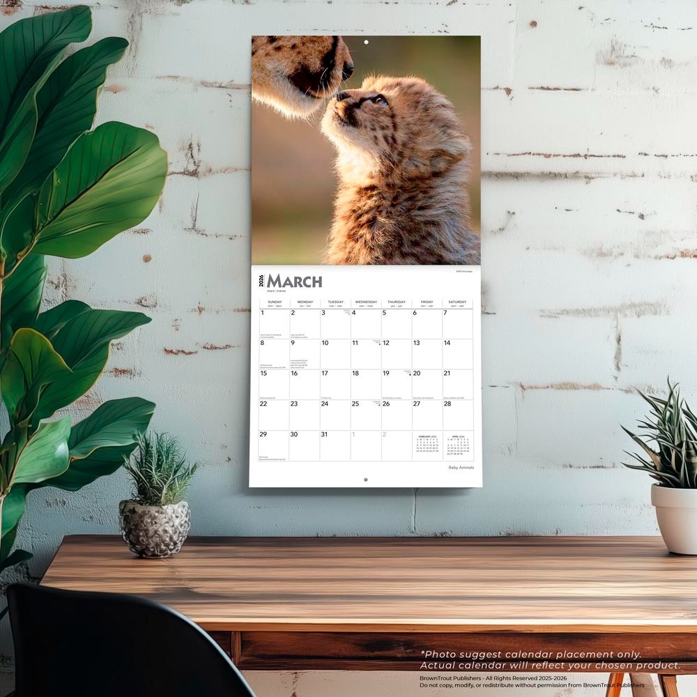Baby Animals | 2026 12×24″ (Hanging) Square Wall Calendar | Plastic-Free