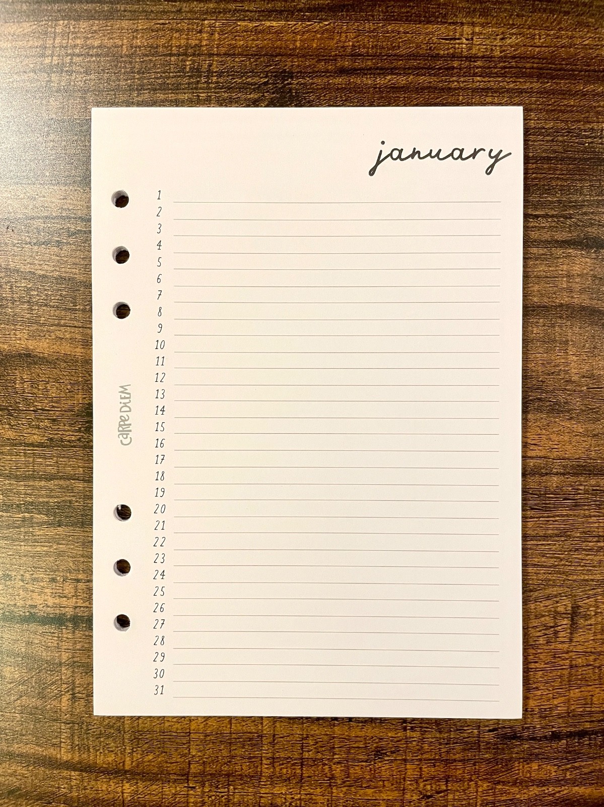 Carpe Diem Undated A5 Monthly Planner Inserts