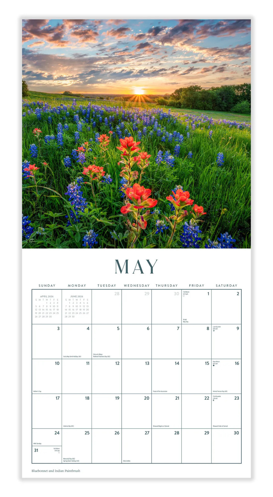 Wildflowers Calendar 2026 | 12″ x 24″ 12 Month Calendar | Marble City Press
