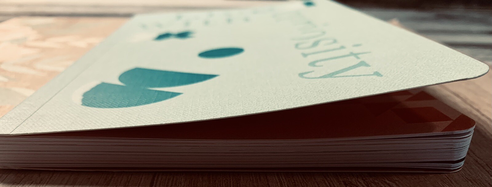 Write Now Journal by Compendium Softcover 128 Lined Pages Quotations Full Color