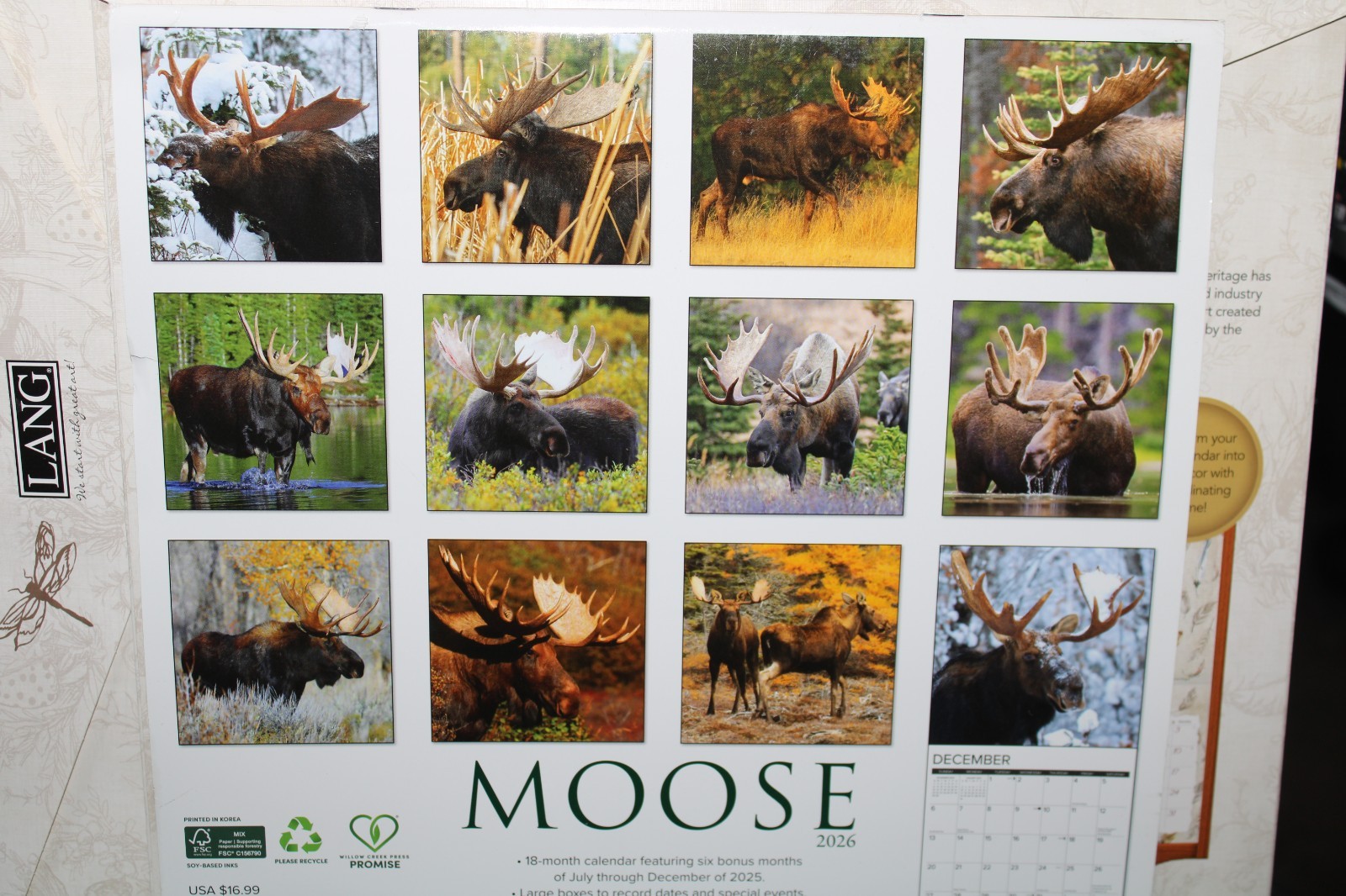 Willow Creek Moose 2026 12″ x 12″ Wall Calendar