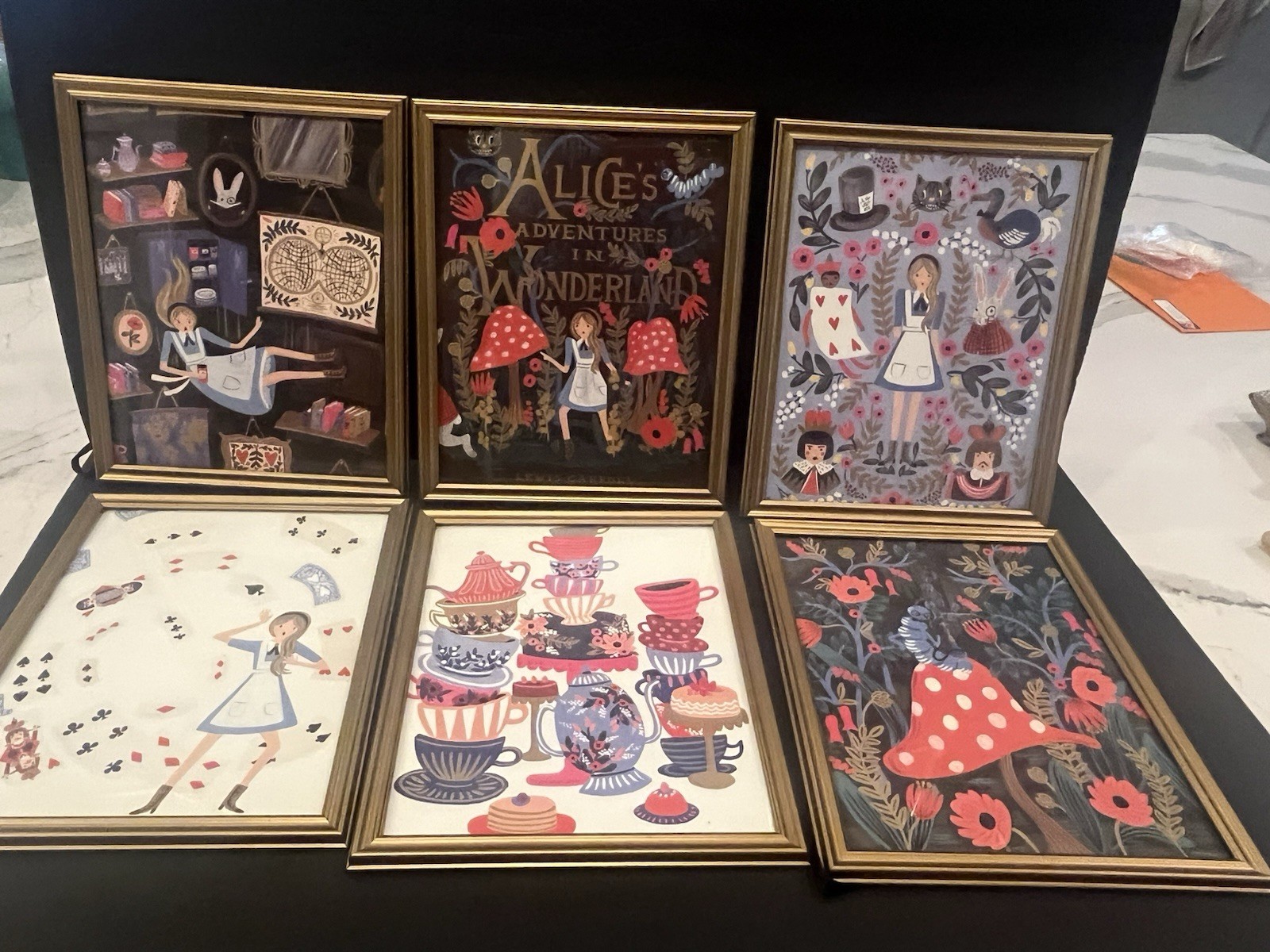 Rifle Paper Co Alice’s Adventures In Wonderland 2016 (6) 11” X 9” Framed Prints