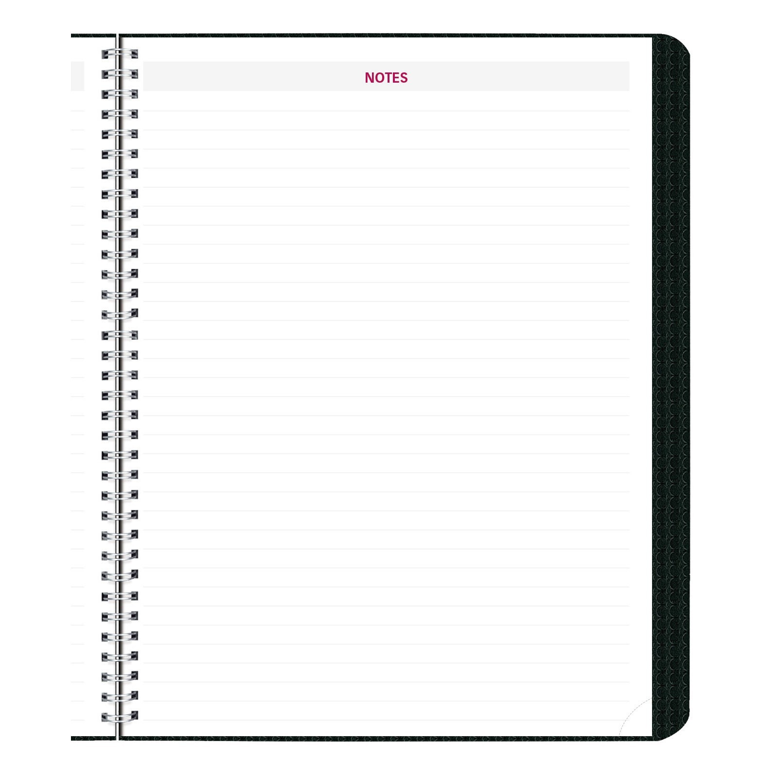 2025 Brownline CB1262.BLK Monthly Planner, 8-1/2 x 11″