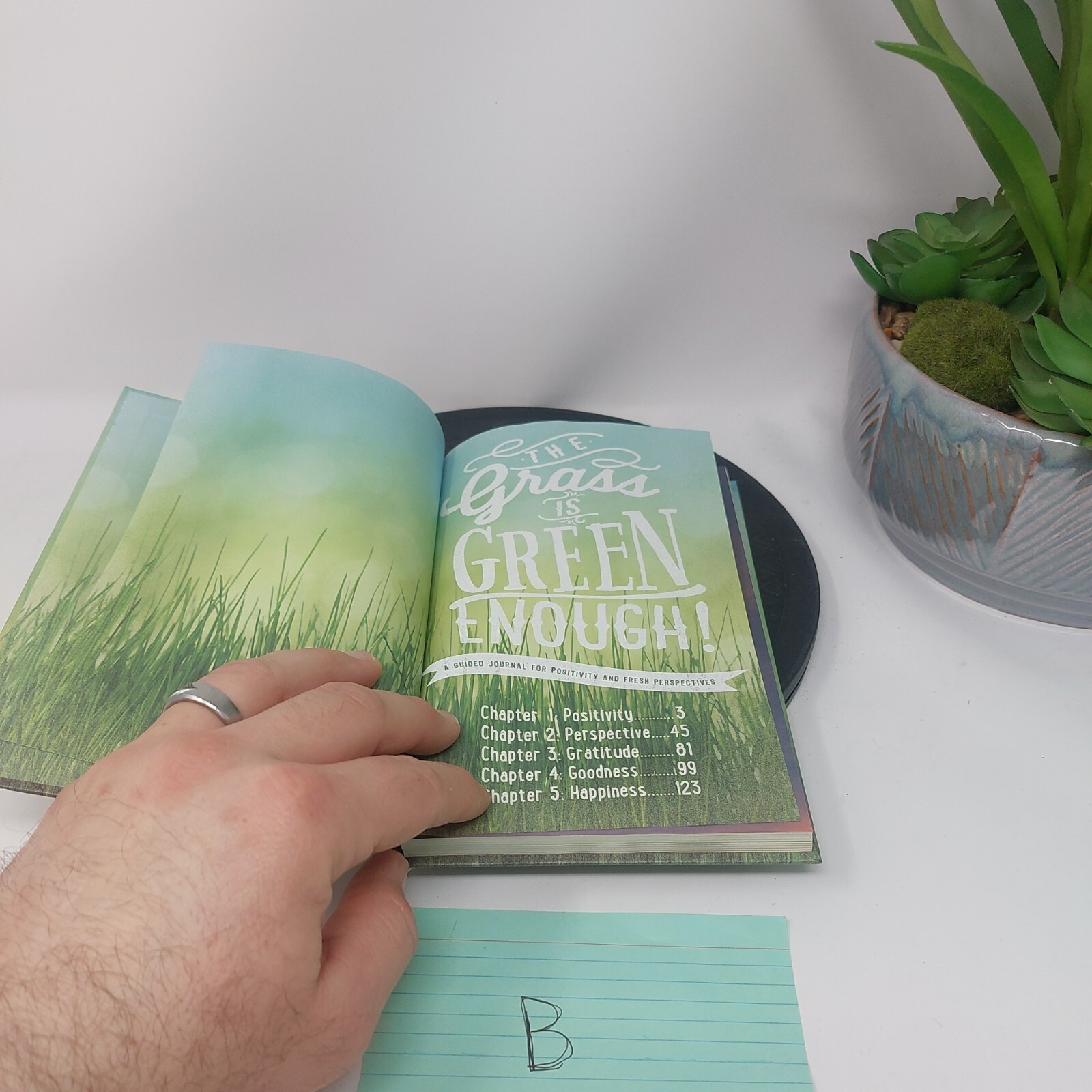 Guided Positivity Journal by 5 inches X 8 inch The Grass is Green Enough UNUSED