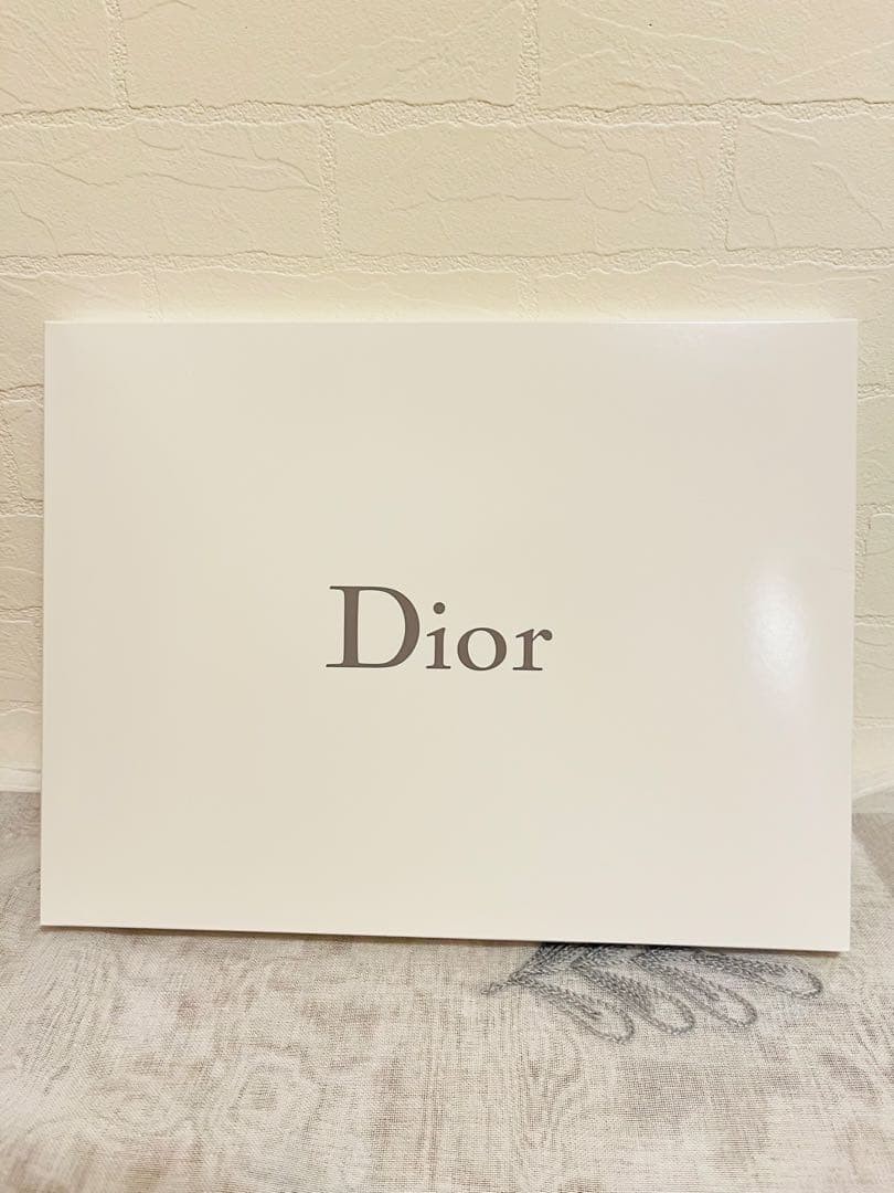 2026 summer Christian Dior novelty pouch Authentic NEW GIFT