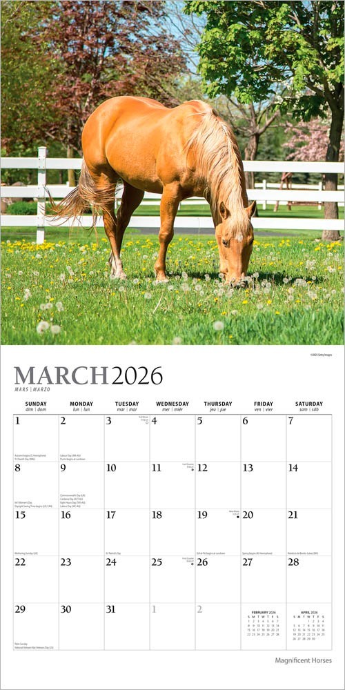 Magnificent Horses | 2026 12×24″ (Hanging) Monthly Square Wall Calendar