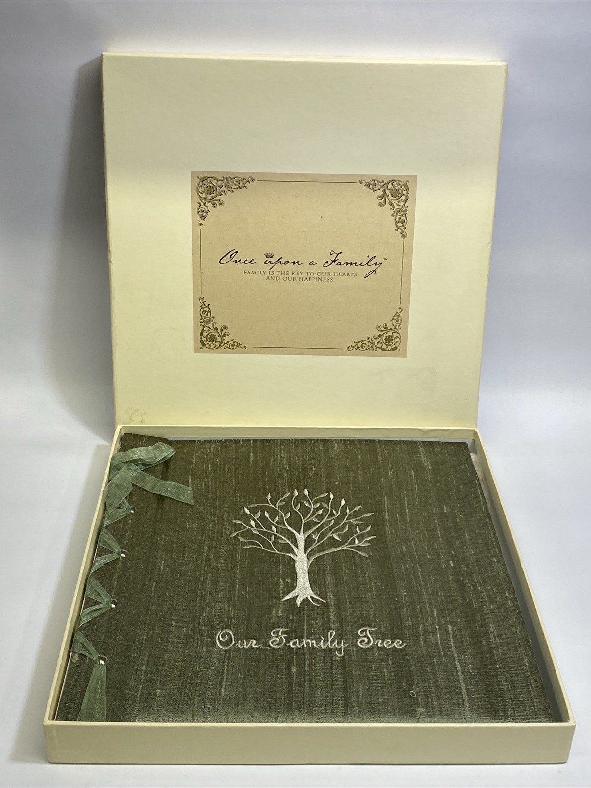 Once Upon A Family Green Family Tree Blank Journal Scrapbook Diary Album Boxed