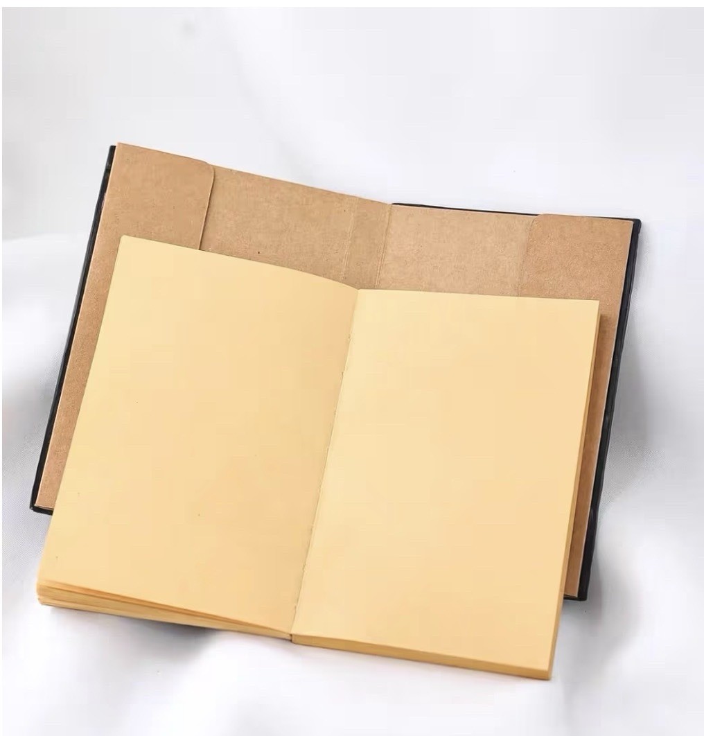 Dragon Eye Resin Cover Collector’s Edition Blank Journal, Fantasy Diary