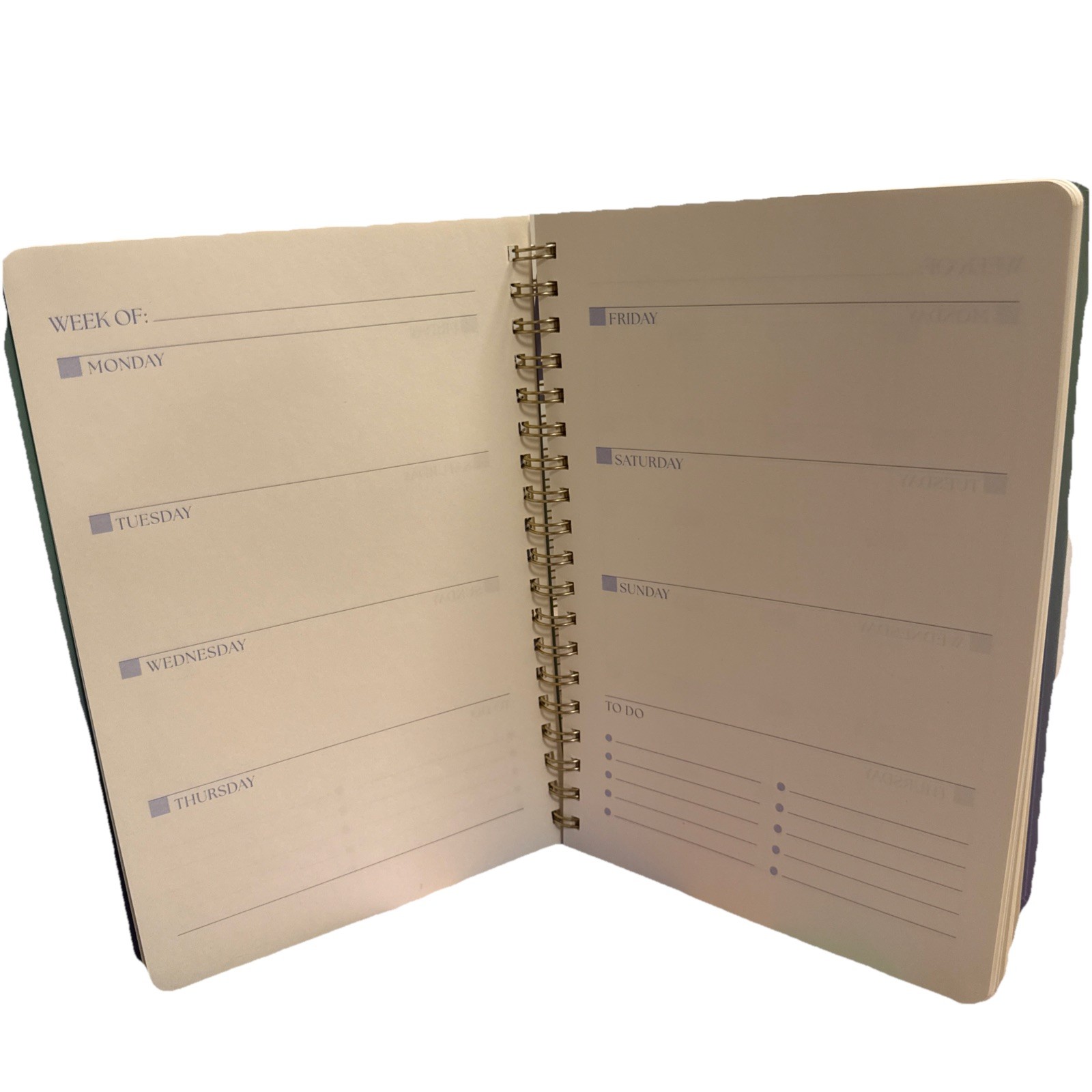 Spritz Undated Planner