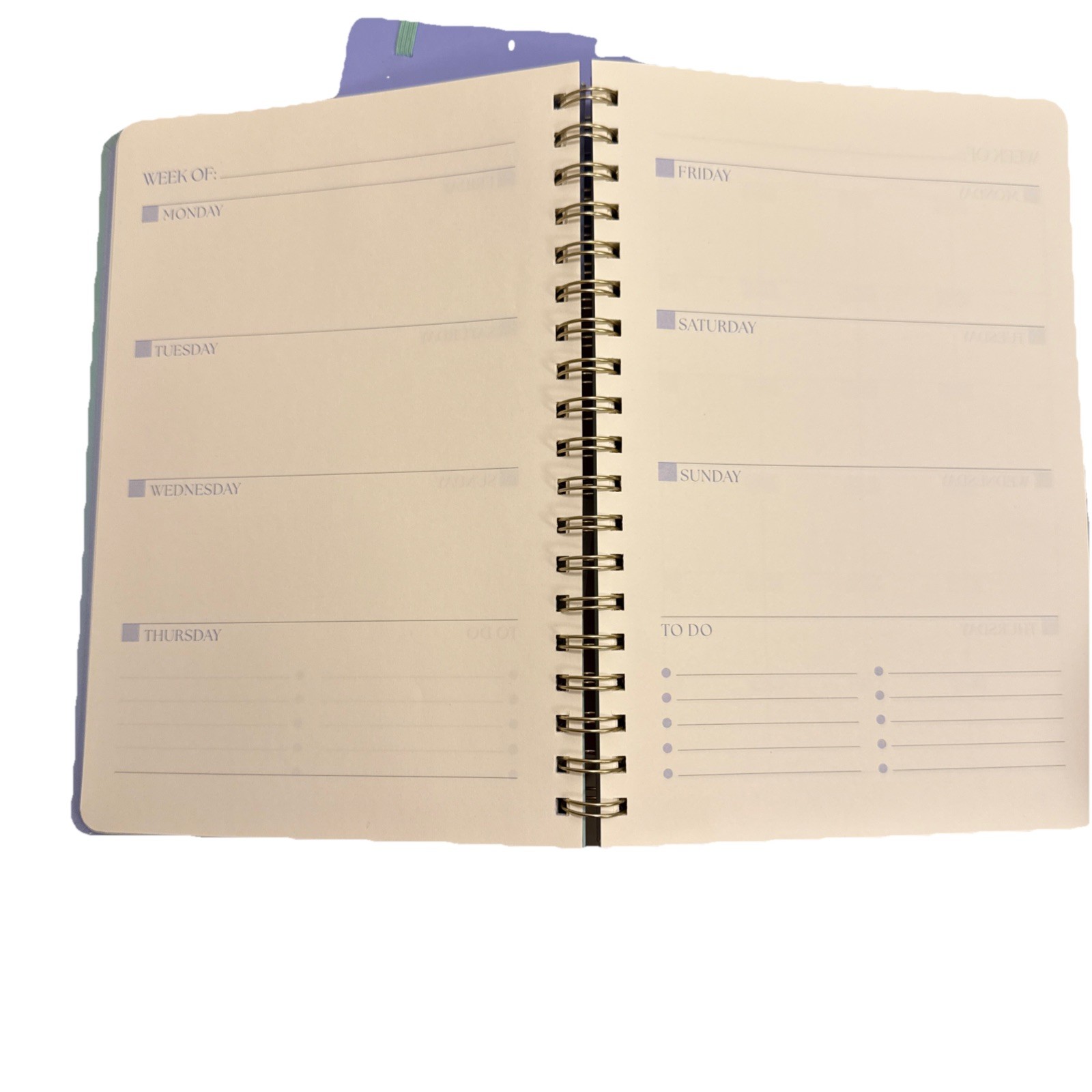 Spritz Undated Planner