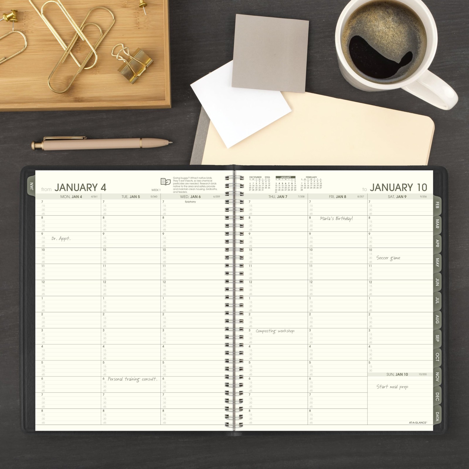 AT-A-GLANCE 2027 Appointment Book Planner, Weekly 8.25″ x 11″, Recycled Black