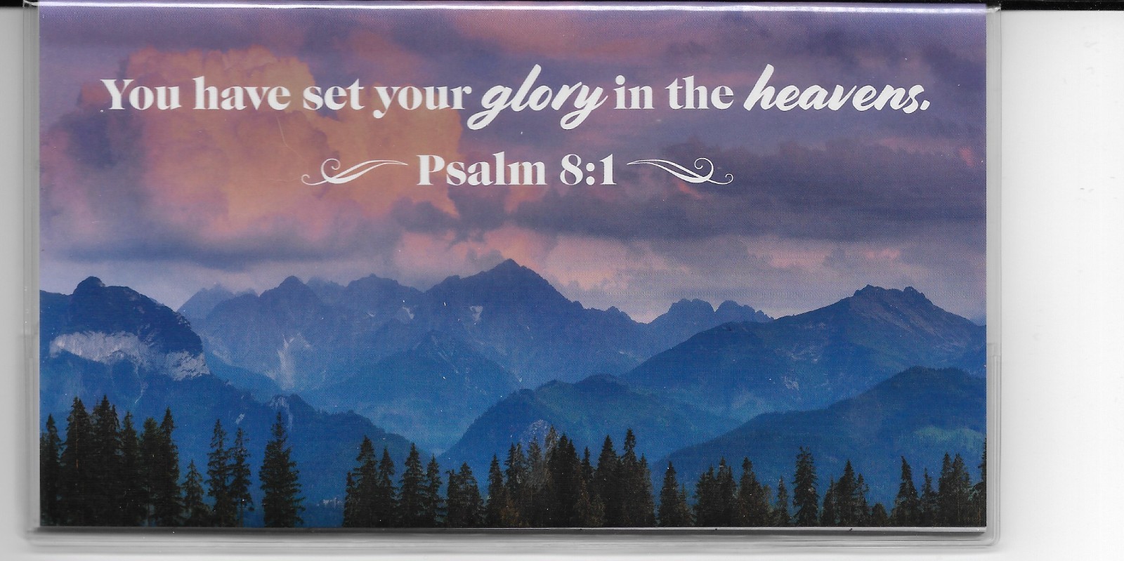 Pocket Calendar 2026-2027 Two Year Monthly Planner 3.5 x 6.5″ Glory