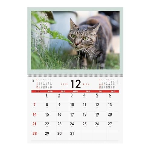 Art Print Japan 2026 Calendar Cat Senryu