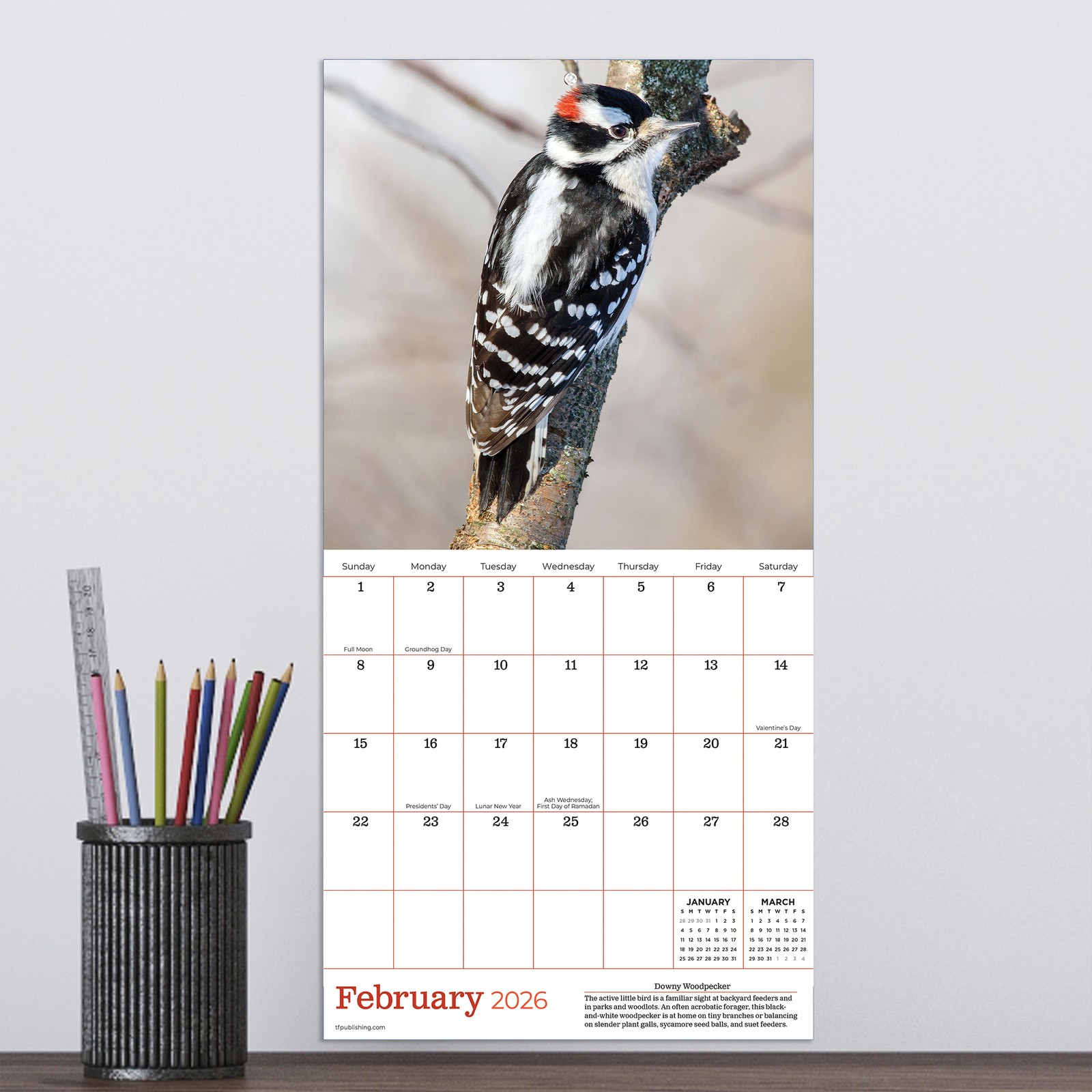 TF Publishing 2026 Backyard Birds Mini Calendar with Monthly Grids