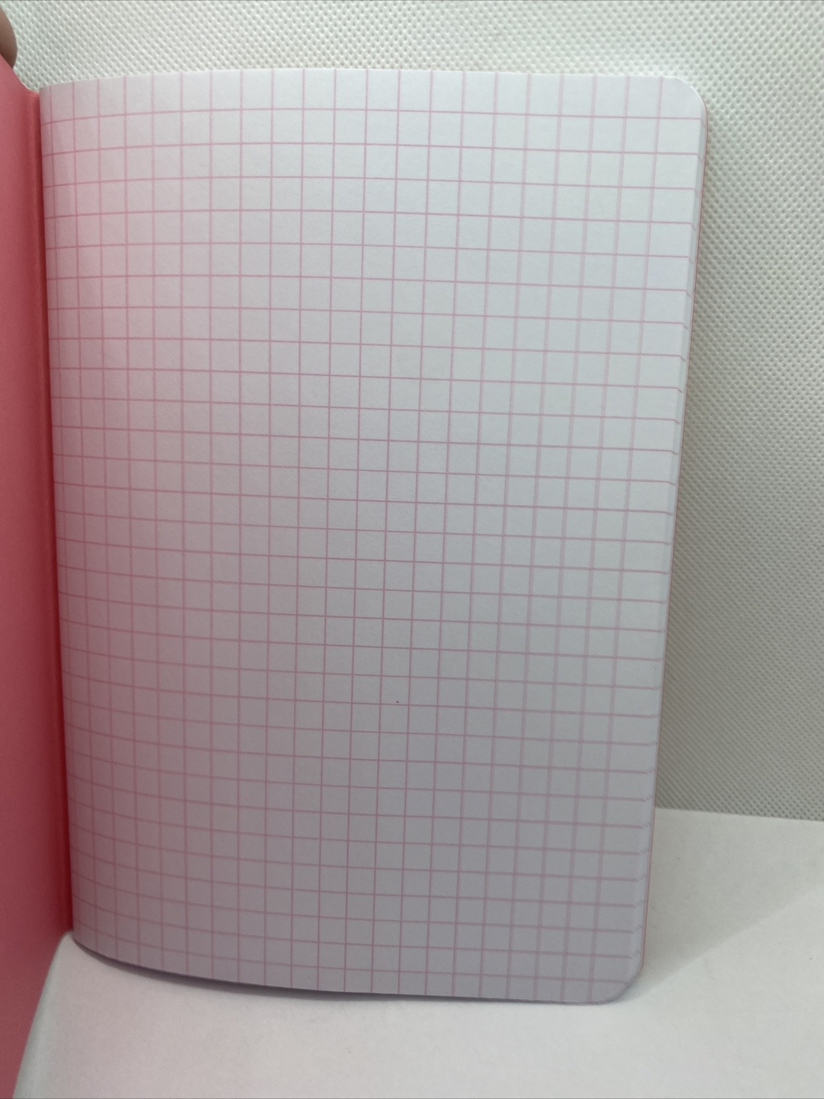 Ashley Mary Graph Journal “grrrl” Saddle Stitch Pink Notebook – NEW AS SHOWN