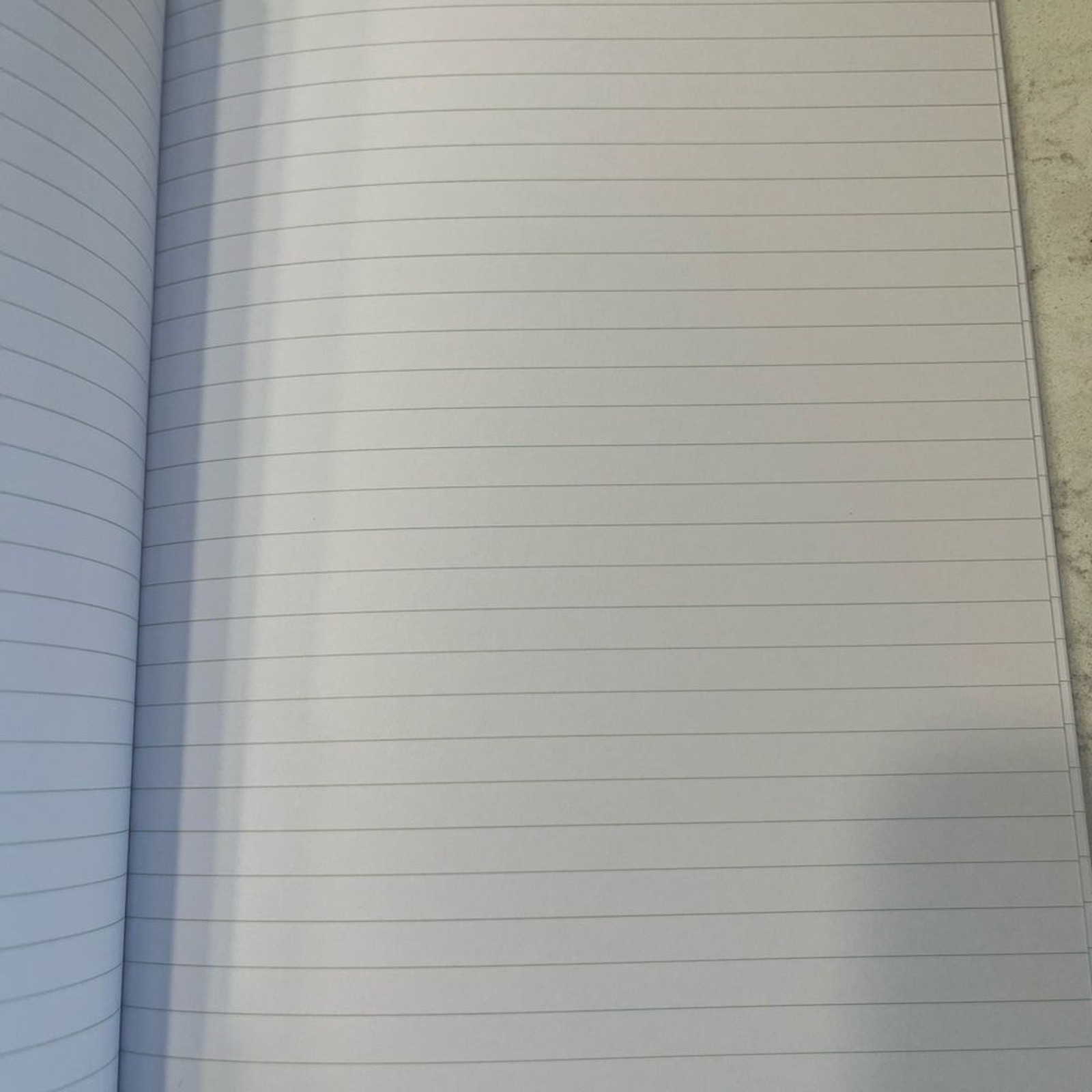 Compendium Cactus & Floral Notebook