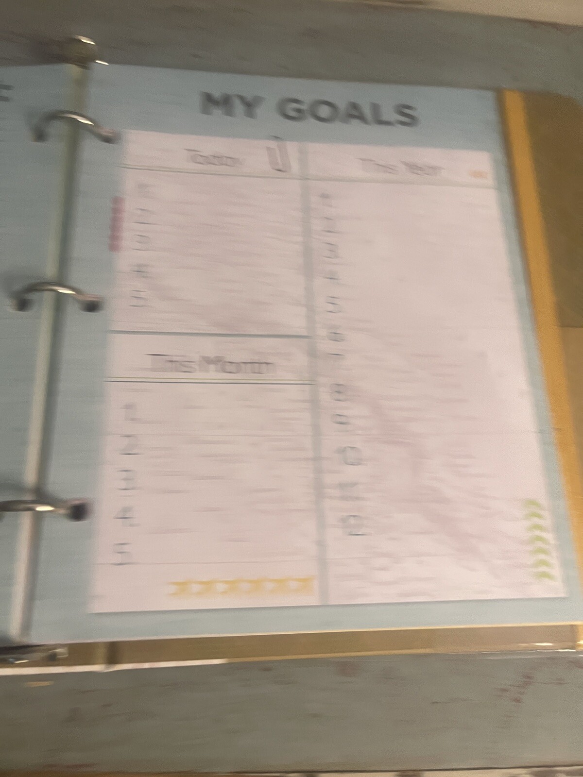 NEW 6.5″ x 8.5″ Budget Planner book 70 Pages NOT DATED 3 Ring