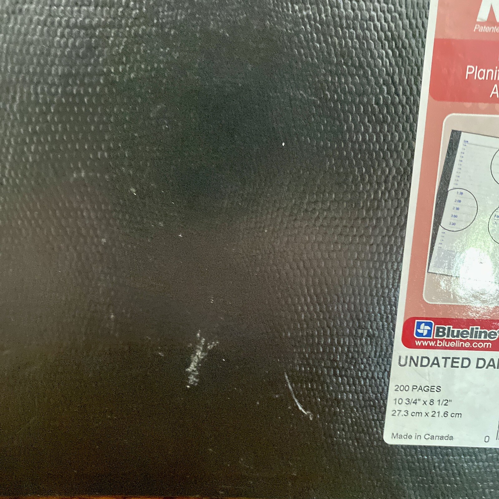 Blueline NotePro Undated Daily Planner 11 x 8-1/2 Black A30C81