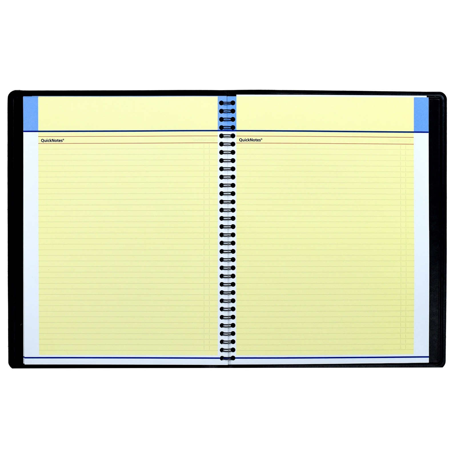 2026 At-A-Glance 76-06-05 QuickNotes Monthly Planner, 8-1/4 x 11″