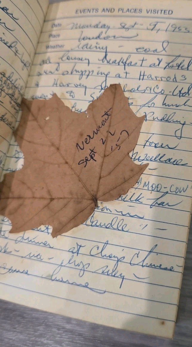 Vintage Trip Abroad Journal Diary Filled With Writing Stamps And Pressed Leaves