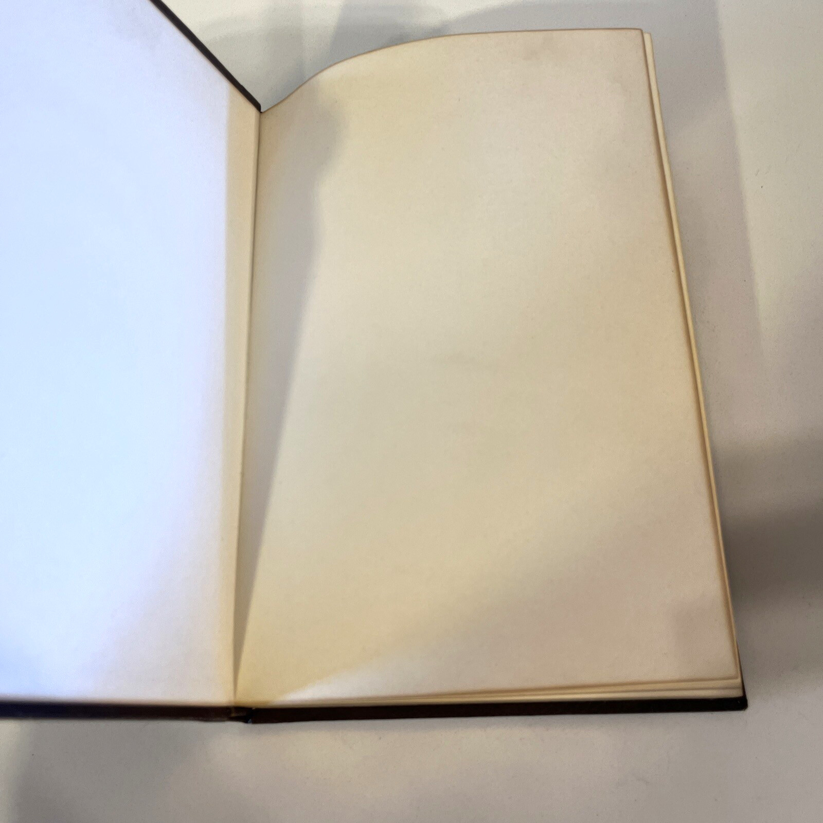 Italian Leather Wine Journal Inventaire Des Vins New Vintage-Gilt- Handsome Book