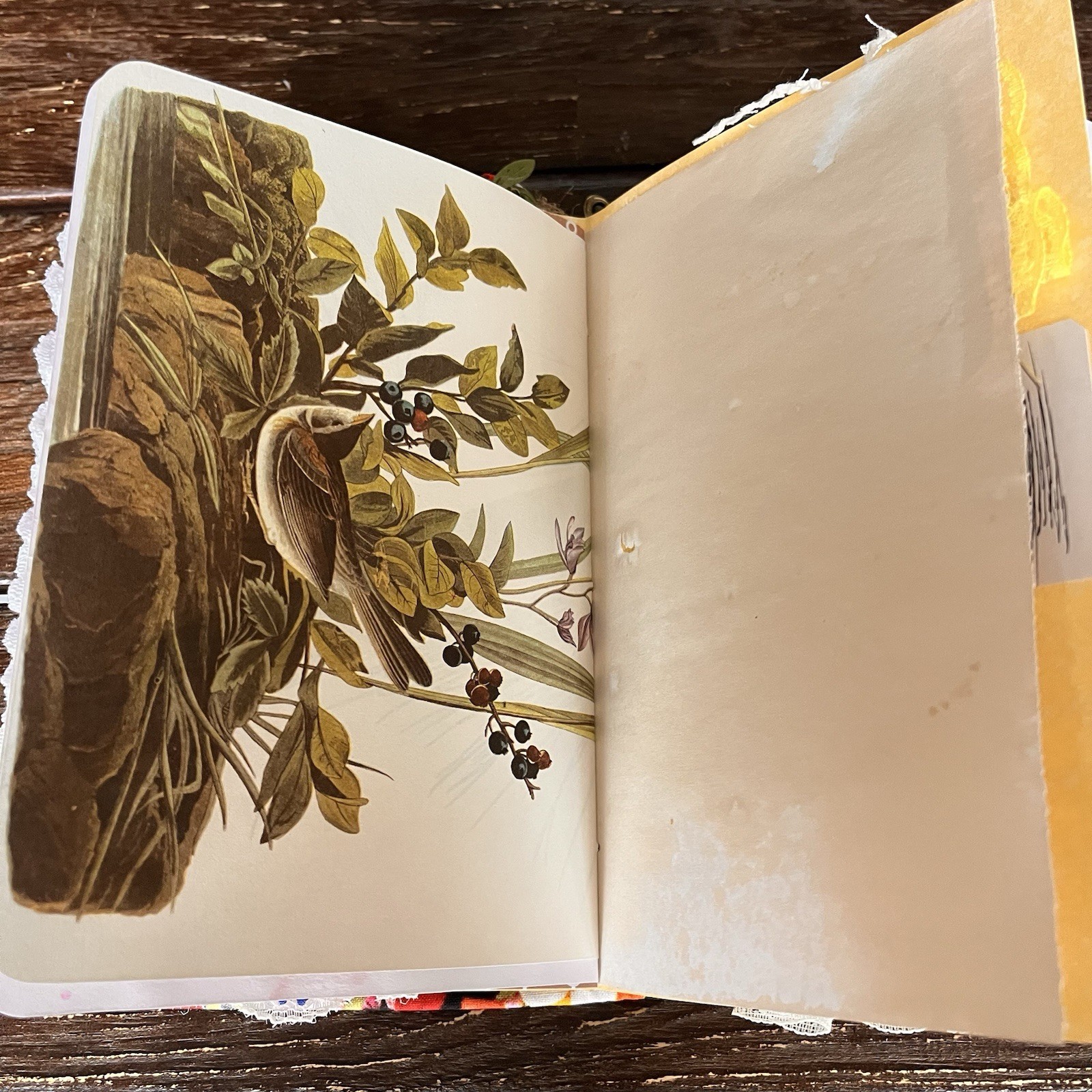 Bird Themed Junk Journal 3 Signatures Softcover Decorated Floral Colorful