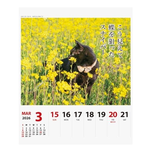 2026 Calendar Cat Senryu Weekly Calendarfrom JP