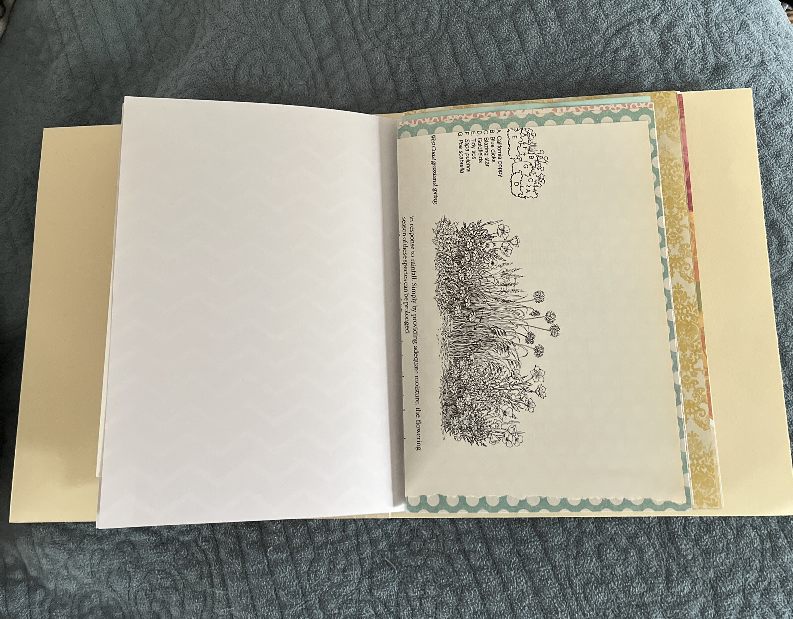 2 Journal Diary Notebook Set-Small & Large 4 3/4×7 in. & 8×9 in. 44 pg & 54 pgs