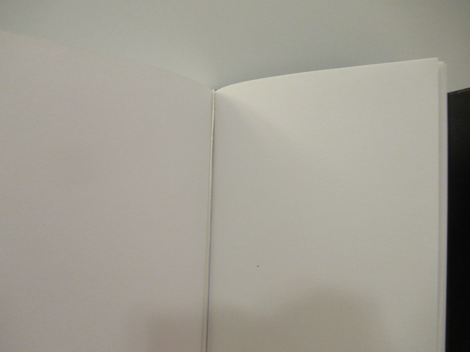Ornamental Blank Sketchbook/Unlined Journal (Hardcover)