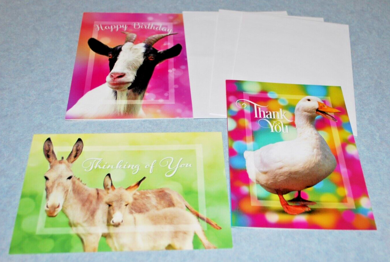 2025 PETA 8 x 10 Wall Calendar/ Monthly Planner/ Puzzle Book/Greeting Cards Lot