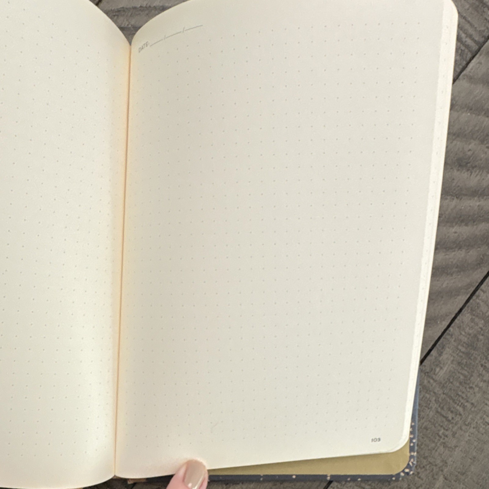 Union Square & Co. The Commonplace Book Illustrated Hardcover Knowledge Journal