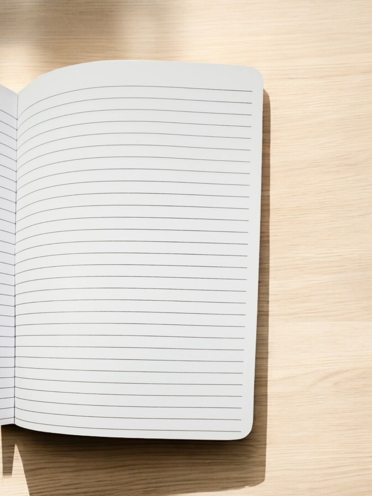 Wild Silver Striped and Cork Hardcover Journal Diary: Adrienne Vittadini Studio
