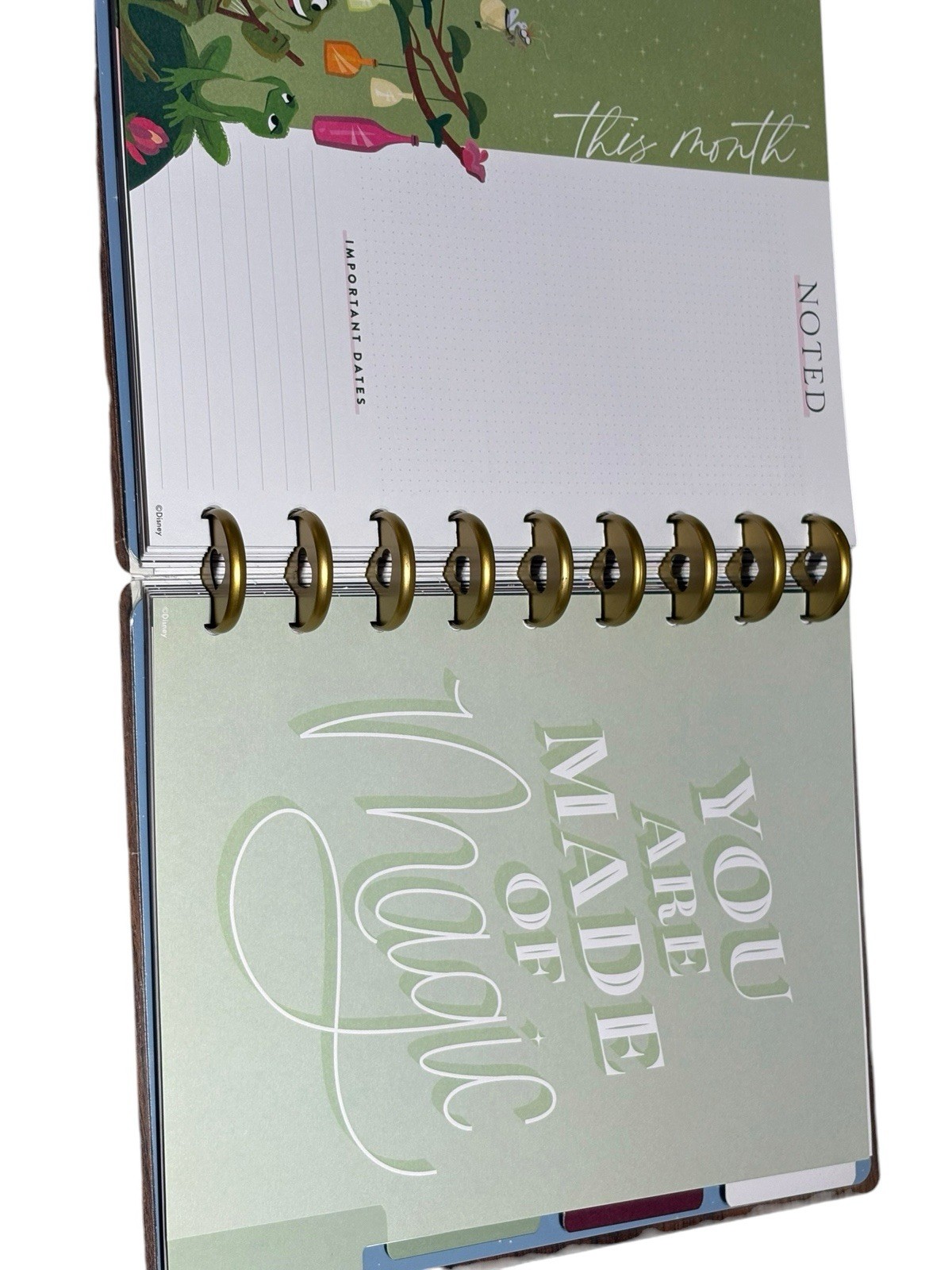 Happy Planner Undated Disney Princess Magic Begins Within Planner NOS