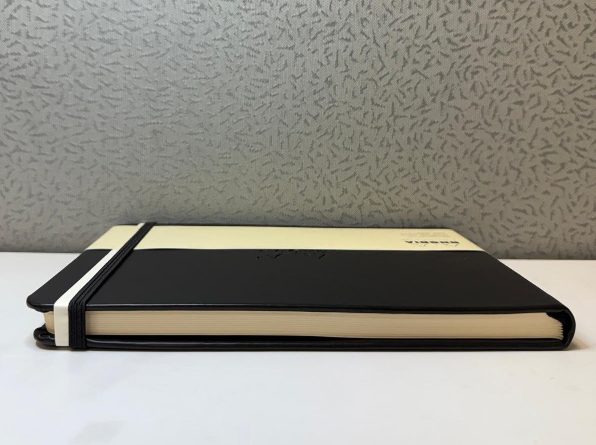Rhodia Rigid Webnotebook, 96 Plain Sheets, Black