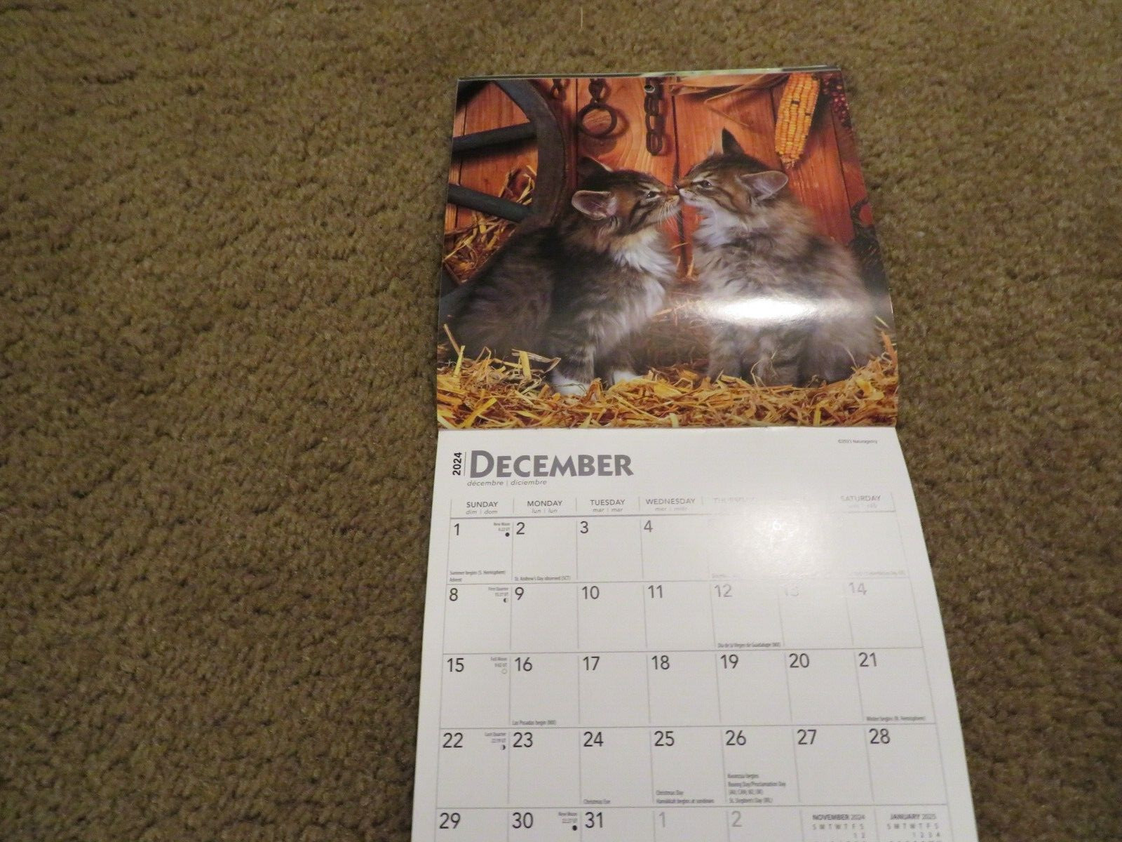 Brown Trout Love of Kittens Mini Wall Calendar 7″ x 7″ Good Cond.